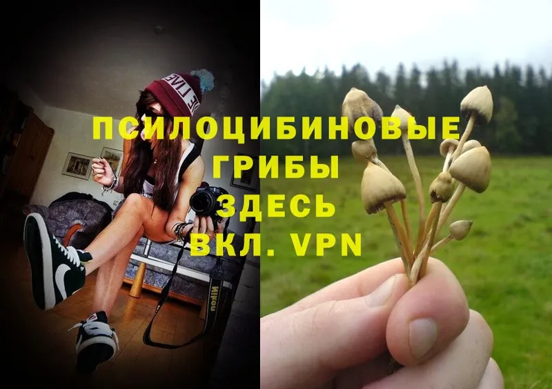 Псилоцибиновые грибы MAGIC MUSHROOMS  хочу   ОМГ ОМГ ссылка  нарко площадка состав  Обнинск 